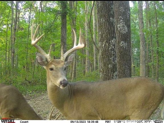 2nd image of Lot #5 Deer Creek Road
