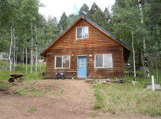 45 Spruce Cir, Florissant, CO 80816