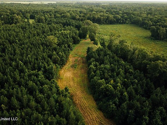 21st image of this home