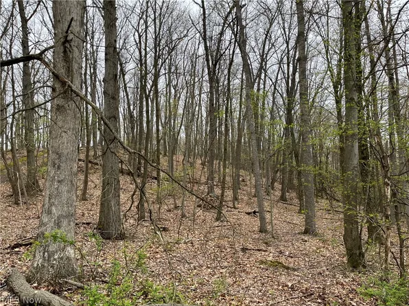 12 Township Rd, Brinkhaven, OH 43006