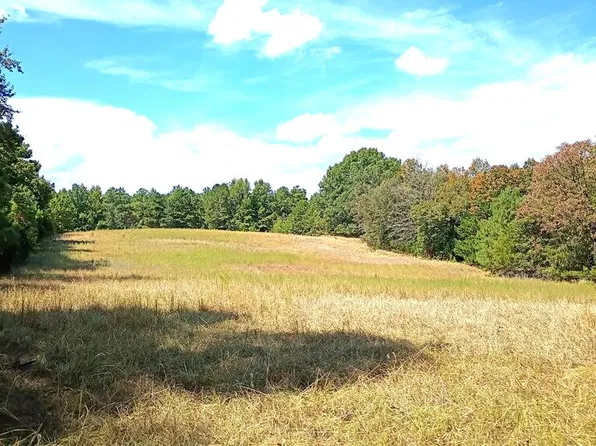 County Road 3774, Queen City, TX 75572