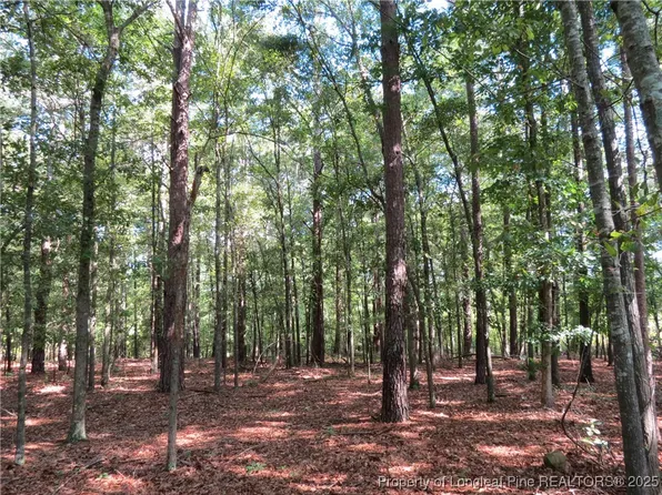 0 Rocky Fork Church Rd, Sanford, NC 27332