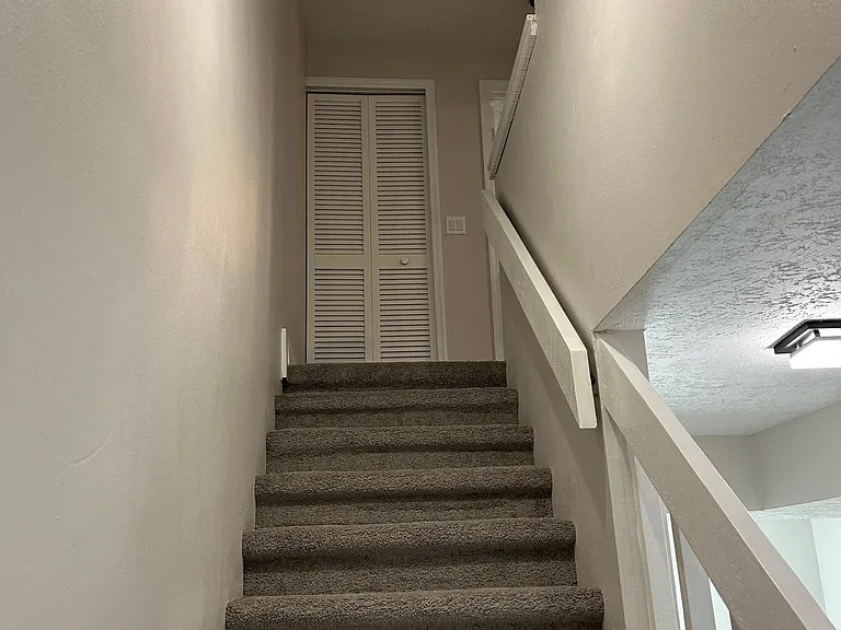 Brand New Dark Grey Carpet on stairs