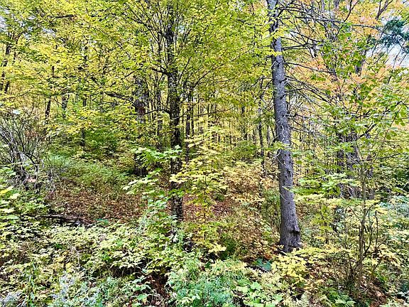 5th image of 369 Hardscrabble Mountain Road Lot B