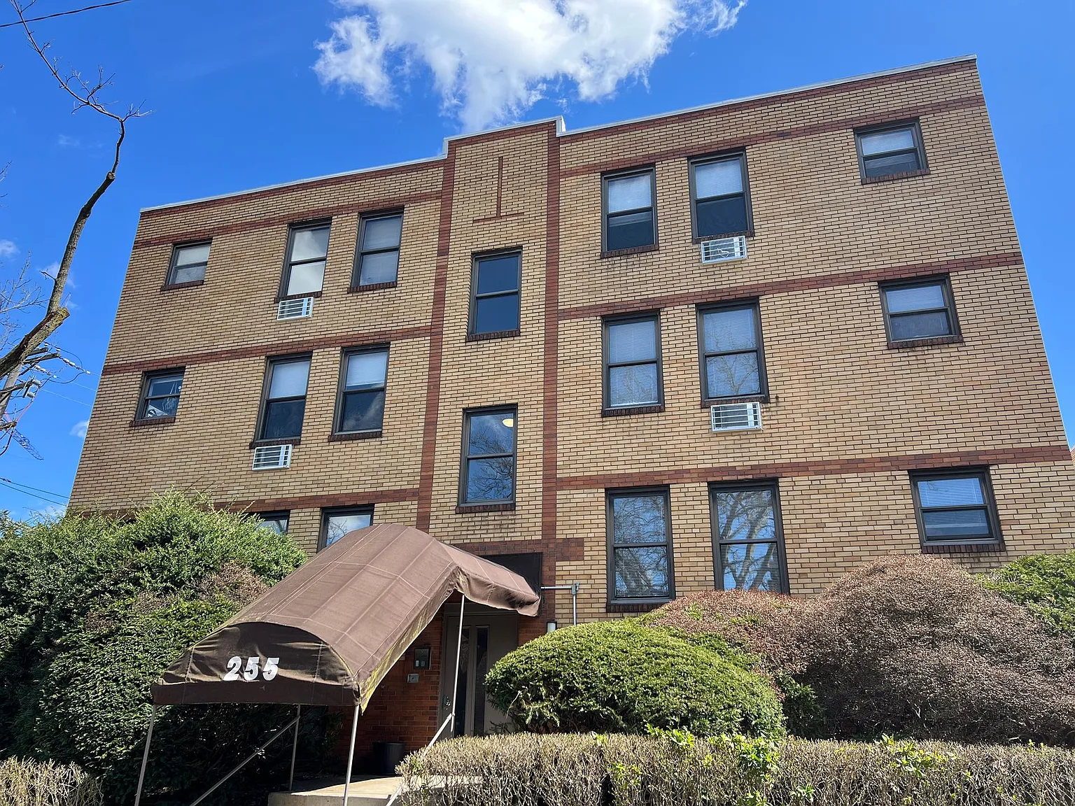 255 Shady Avenue — Photo 4