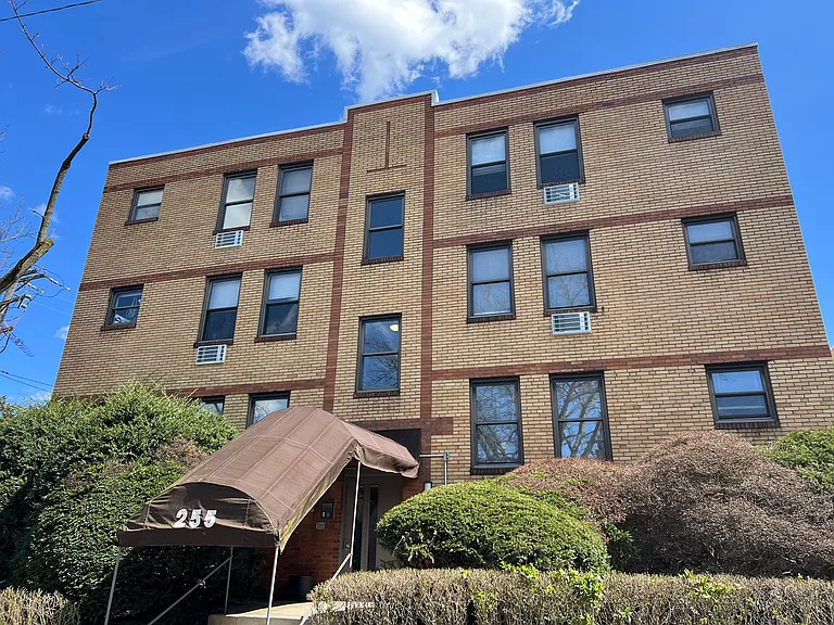 255 Shady Avenue — Photo 4