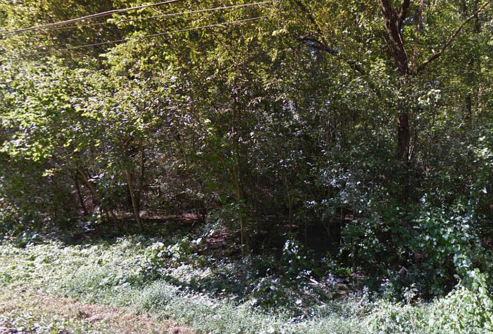 2nd image of 1004 McCubbins Rd