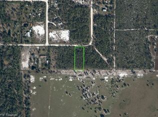 544 Oliver Rd, Venus, FL 33960