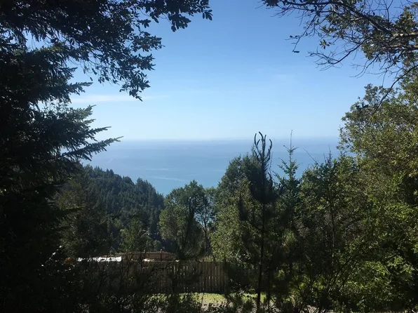 65 Carson Ct, Whitethorn, CA 95589