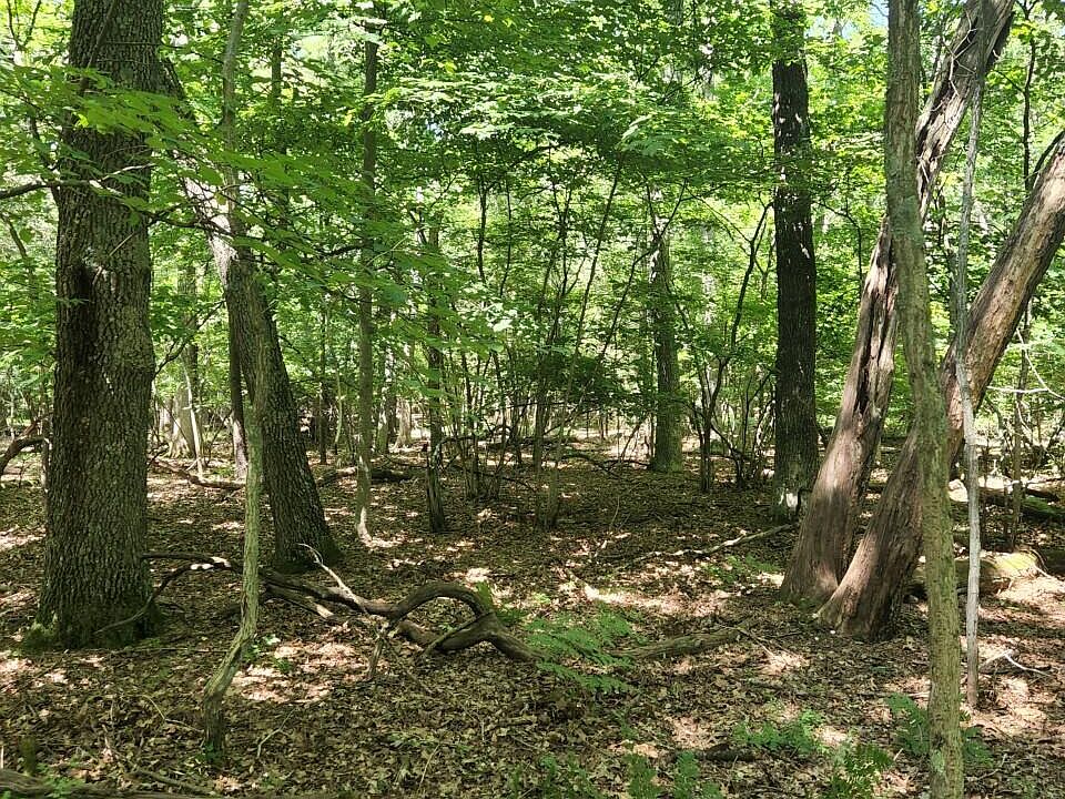 1st image of Chippewa Dr