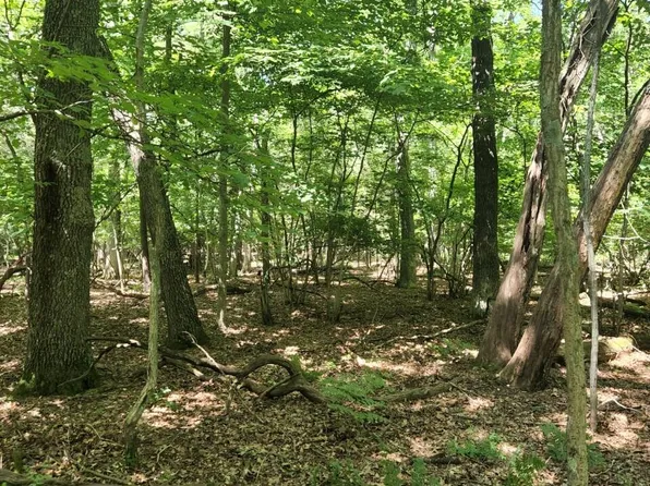 Chippewa Dr, Montague, MI 49437