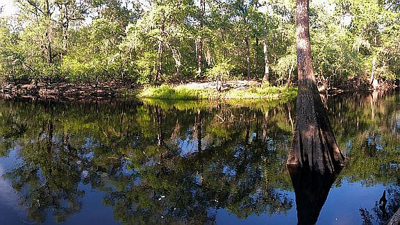 2nd image of 24426 NW County Road 1493