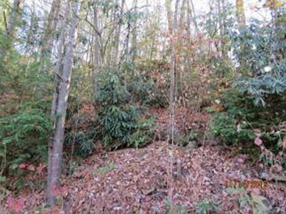 2nd image of 00 Woodland Ter