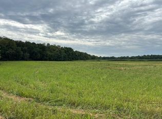 County Road 30 SW TRACT B, Montrose, MN 55363