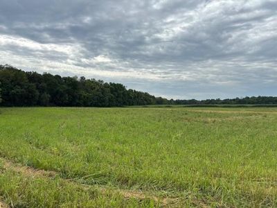 County Road 30 SW TRACT B, Montrose, MN, 55363