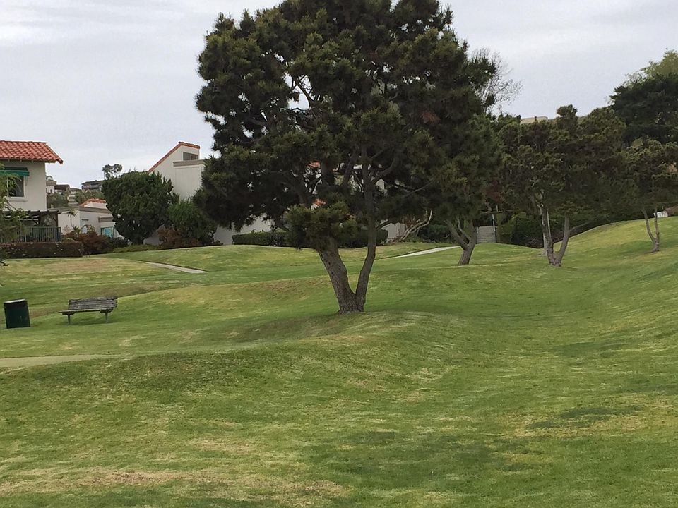 Golf course view from Patio