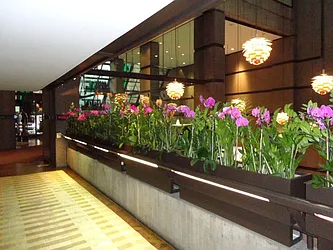 Rented by Level Group