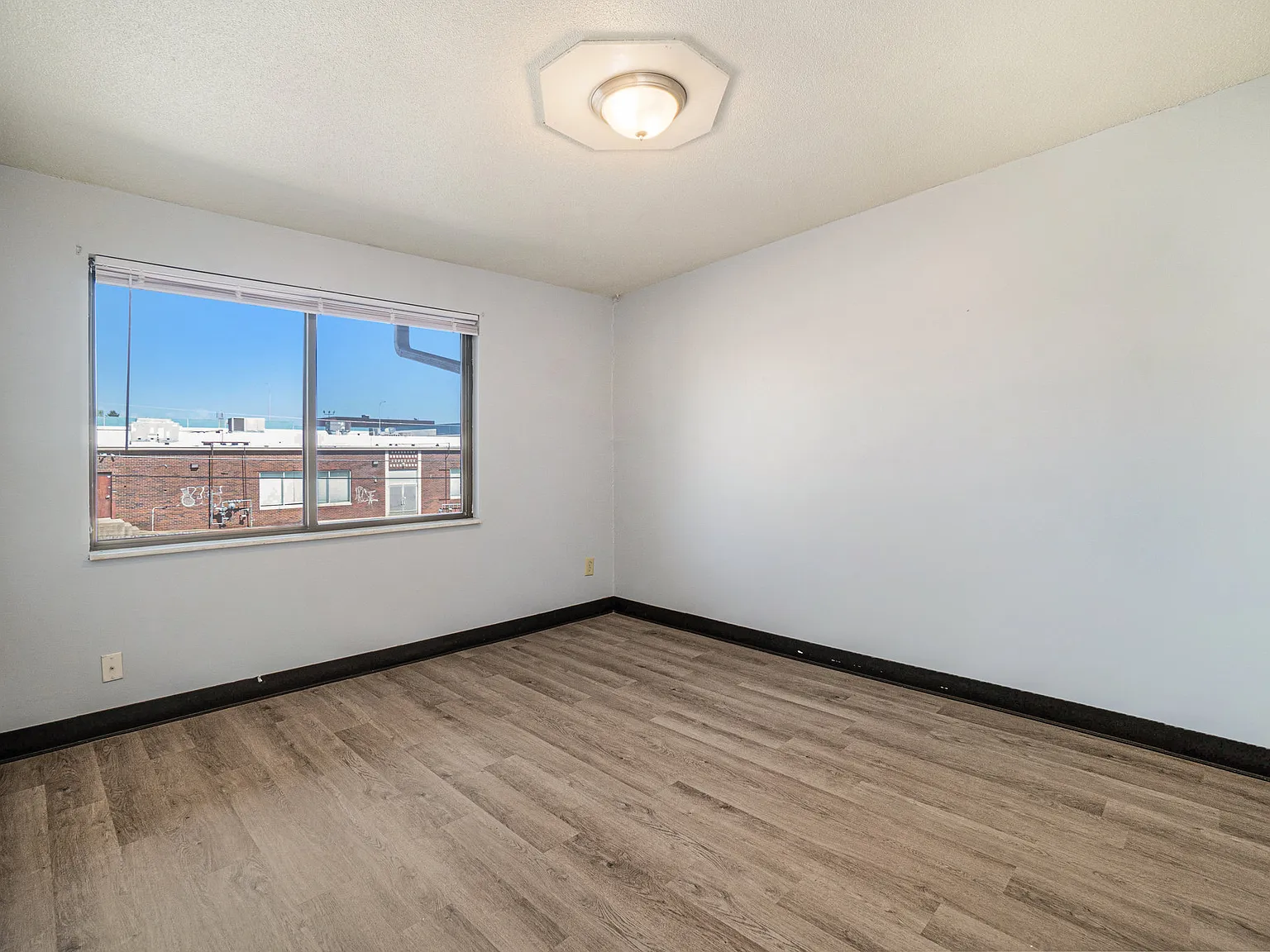 1 bed, $895 — Photo 3