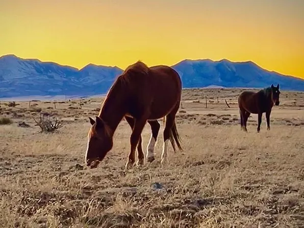 L75a West Winds Rd, Walsenburg, CO 81089