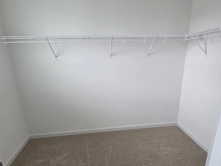 803 Lucky Clover Way — Photo 8