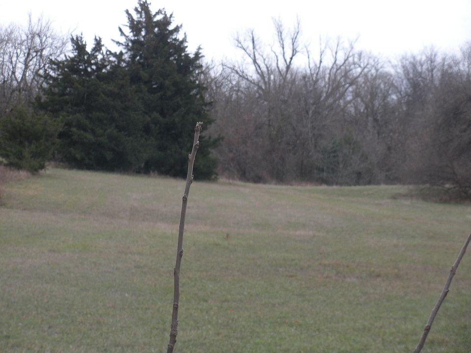 2nd image of XXX234TH Ln.