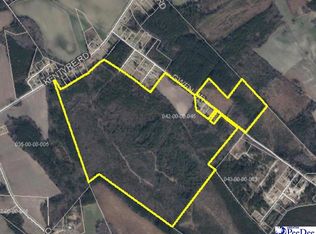 Gwen Dr, Dillon, SC 29536