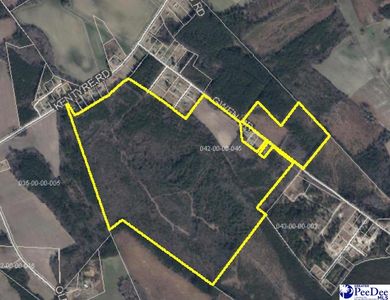 Gwen Dr, Dillon, SC, 29536