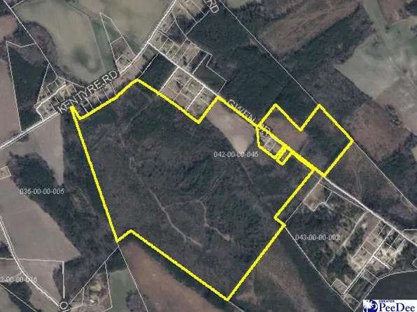 Gwen Dr, Dillon, SC 29536