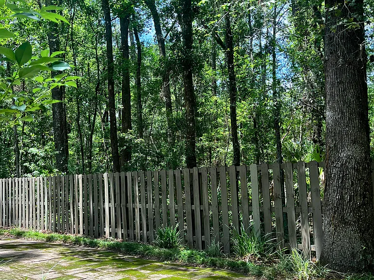 Backyard faces nature preserve