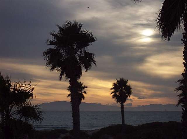 1st image of 2303 Vina Del Mar #324