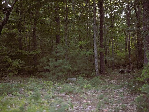 3rd image of 1060B West Road