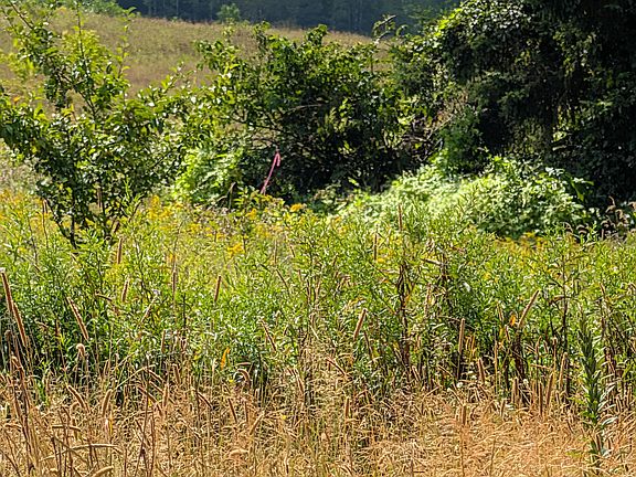 4th image of NA E Presque Isle Road