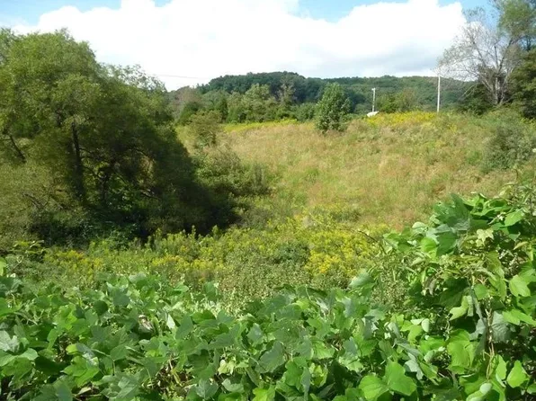 LOT 4 Daniel Boone Rd, Gate City, VA 24251