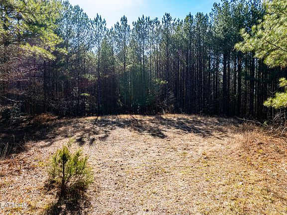3rd image of Lower Rockwood Rd