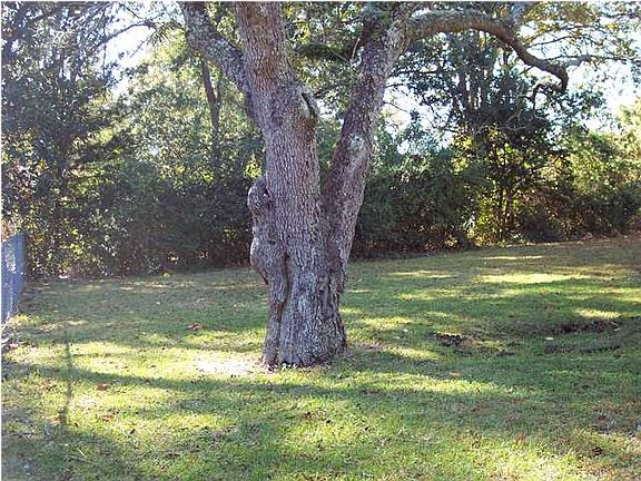 Tree shaded back yard.