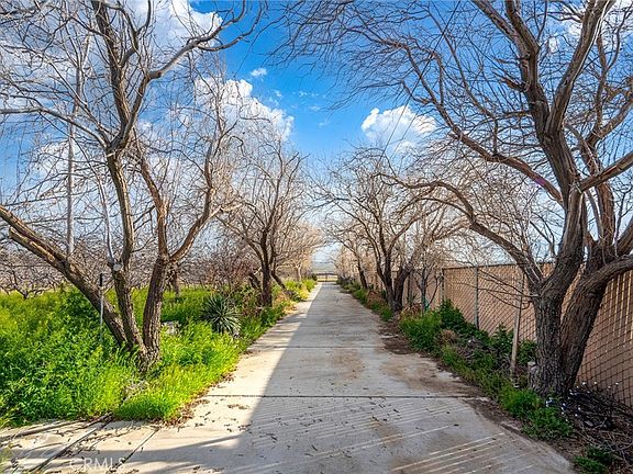 4th image of 31516 Clay River Rd