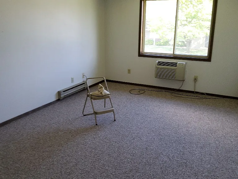 Living room (chair not included)