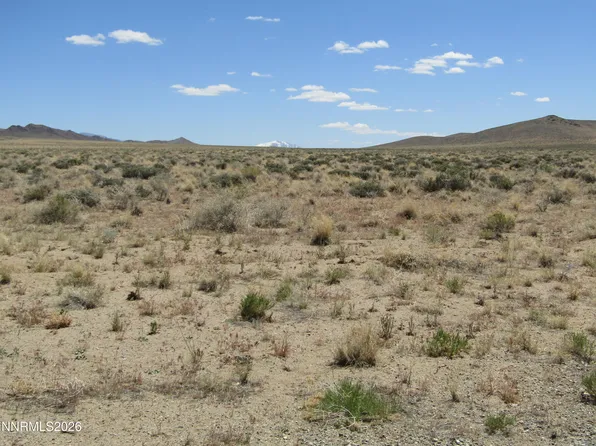 61 Fox Ln, Yerington, NV 89447