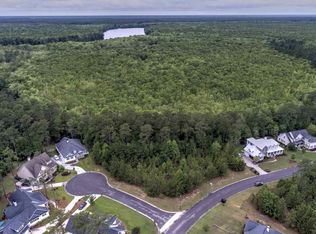 4 Plumbfield Ct, Murrells Inlet, SC 29576