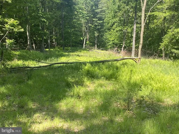 Route 23 Dry Run Rd, Franklin, WV 26807