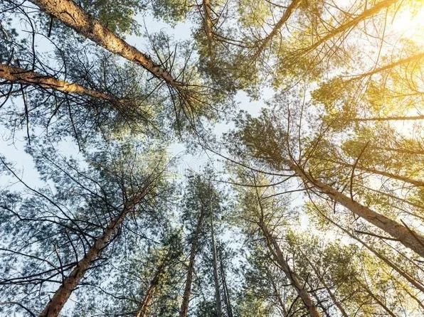 715 Hibiscus Dr #17, Indian Lake Estates, FL 33855