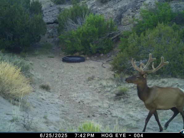 0 Tba, Quemado, NM 87829