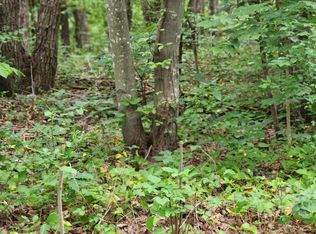 Supinlick Rdg, Mount Jackson, VA 22842