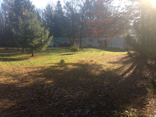 front yard