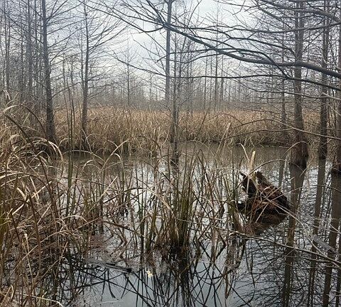 4th image of 0 Tobacco Rd