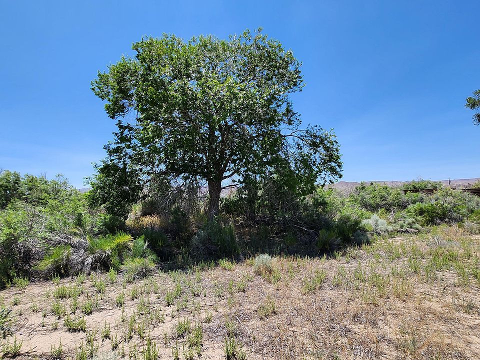 2nd image of 23 Calico Hills Dr