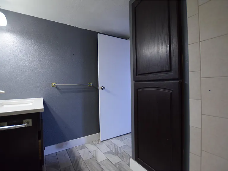 1313 N Williams St #501 — Photo 16