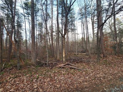 LOT 10 Paradise Ln LOT 10, Gordonsville, VA, 22942