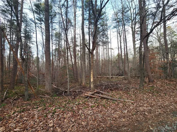 LOT 10 Paradise Ln Lot 10, Gordonsville, VA 22942