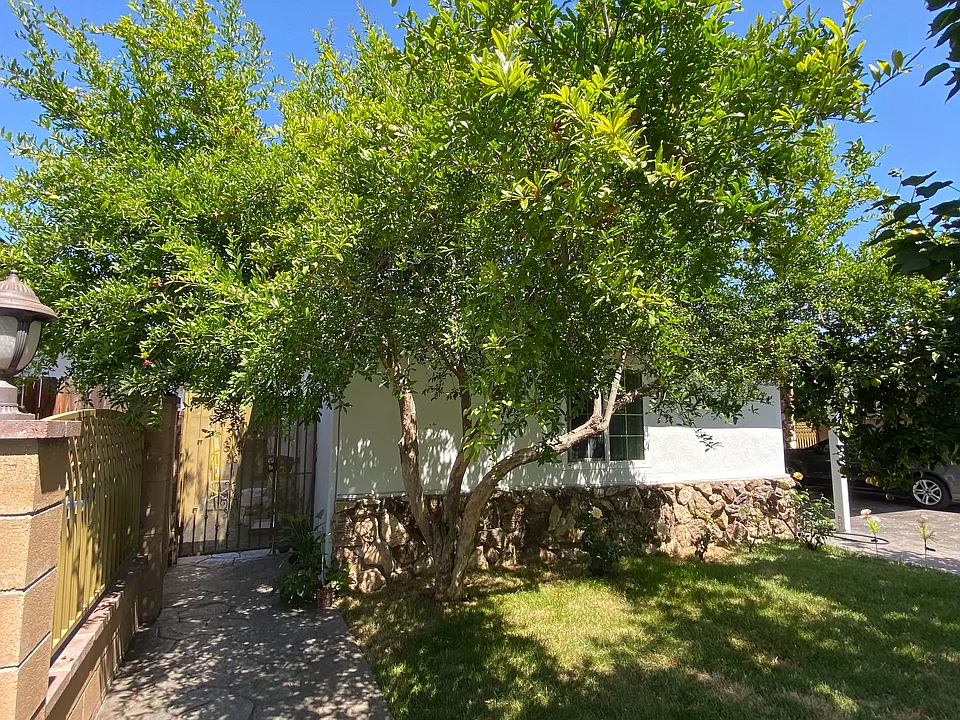 7022 Mammoth Ave #2
